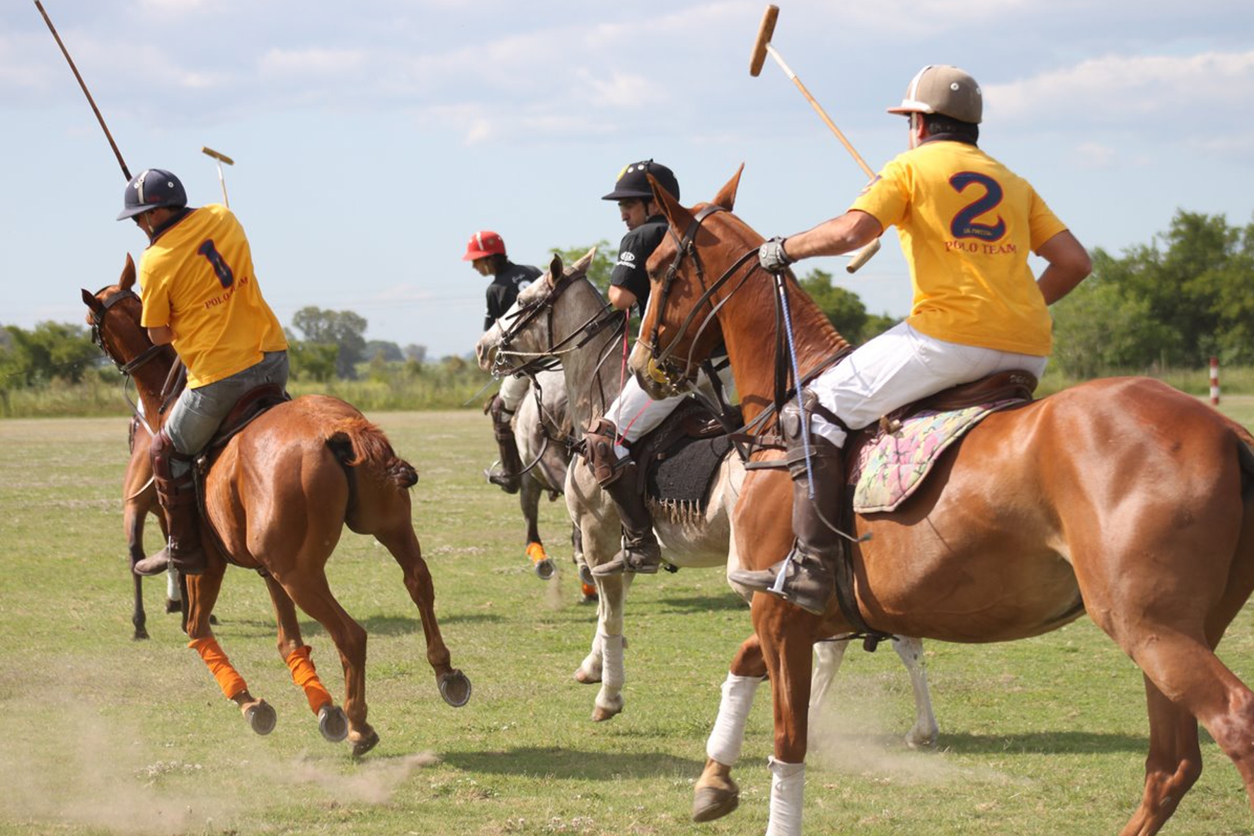 Argentina Polo Day