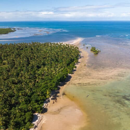 Drone photo of Castelhanos beach with mangroves