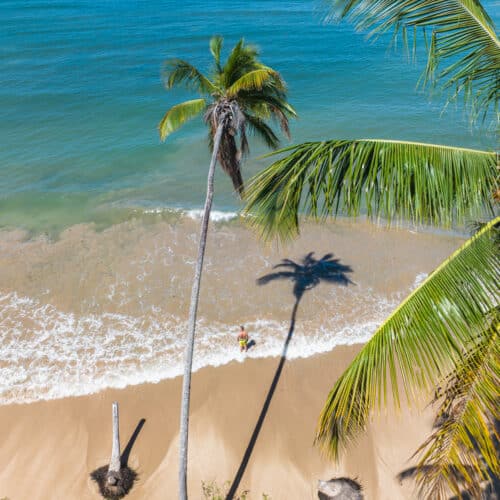 Drone view of palm trees and blue ocean water at Cuiera Beach