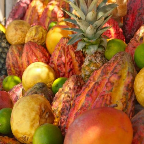 Delicious fruit for caipirinhas at a beach barraca on Boipeba Island