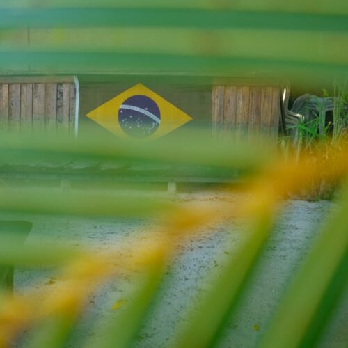 A brazil flag through palm trees on Boipeba